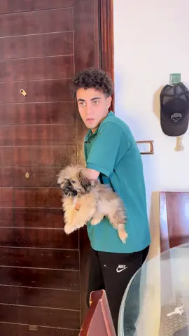 جايب كلب البيت😂😂#احمدالاسطوره🌸 