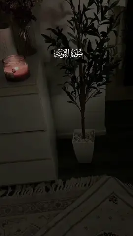 #سعودشريم #القرآن_الكريم #تلاوة_خاشعة #تلاوة_قرآنية #تلاوة_مؤثرة 