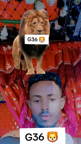 @sheekh samroon🦁🦁🦁 @Qadan Qaran 💚🤍❤️💪🏻 @boqorada Solomadow💚🤍❤️💪🥷 @mss izwisarland🇨🇭🫶 @ASMA CABDl 4455 @ugbaadaragsan686 