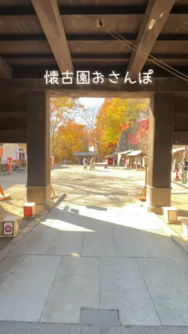 懐古園おさんぽ🍁紅葉が見ごろでした❤️#小諸市　#懐古園　#紅葉　#秋 