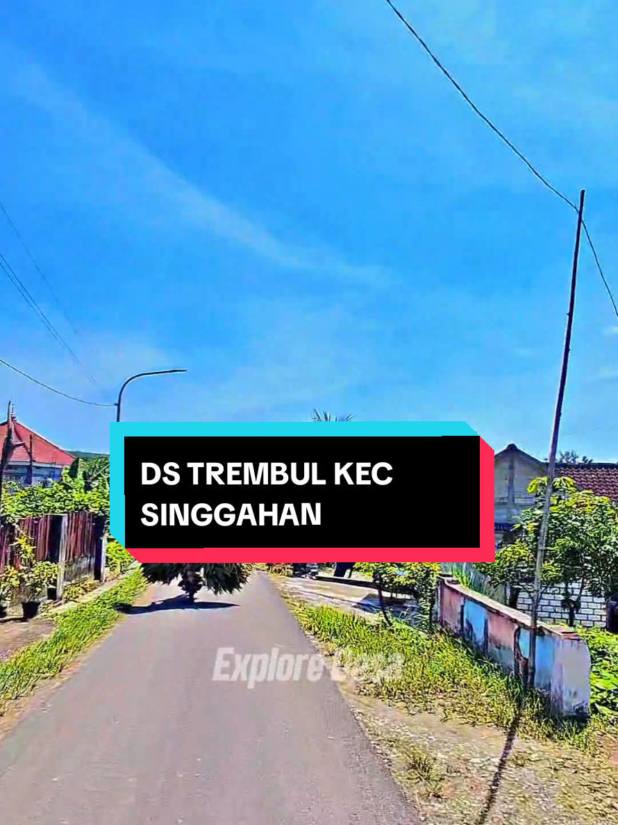 Ds Trembul kec singgahan dengan kumbang kumbang  #infotuban #jatirogo24jam #tuban24jam #fyppppppppppppppppppppppp #viralvideo 