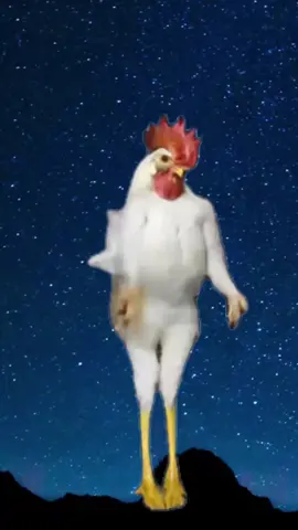 #buenosdias241 #buenasnoches 