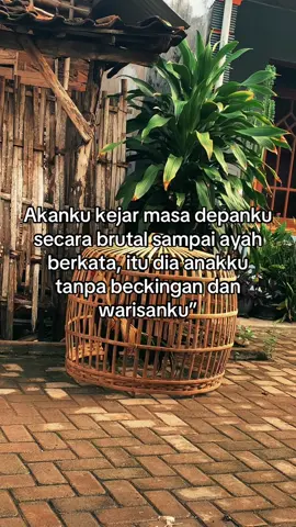 Bismillah 🥰#ALEXFARM #AYAMJAGO #swayam 