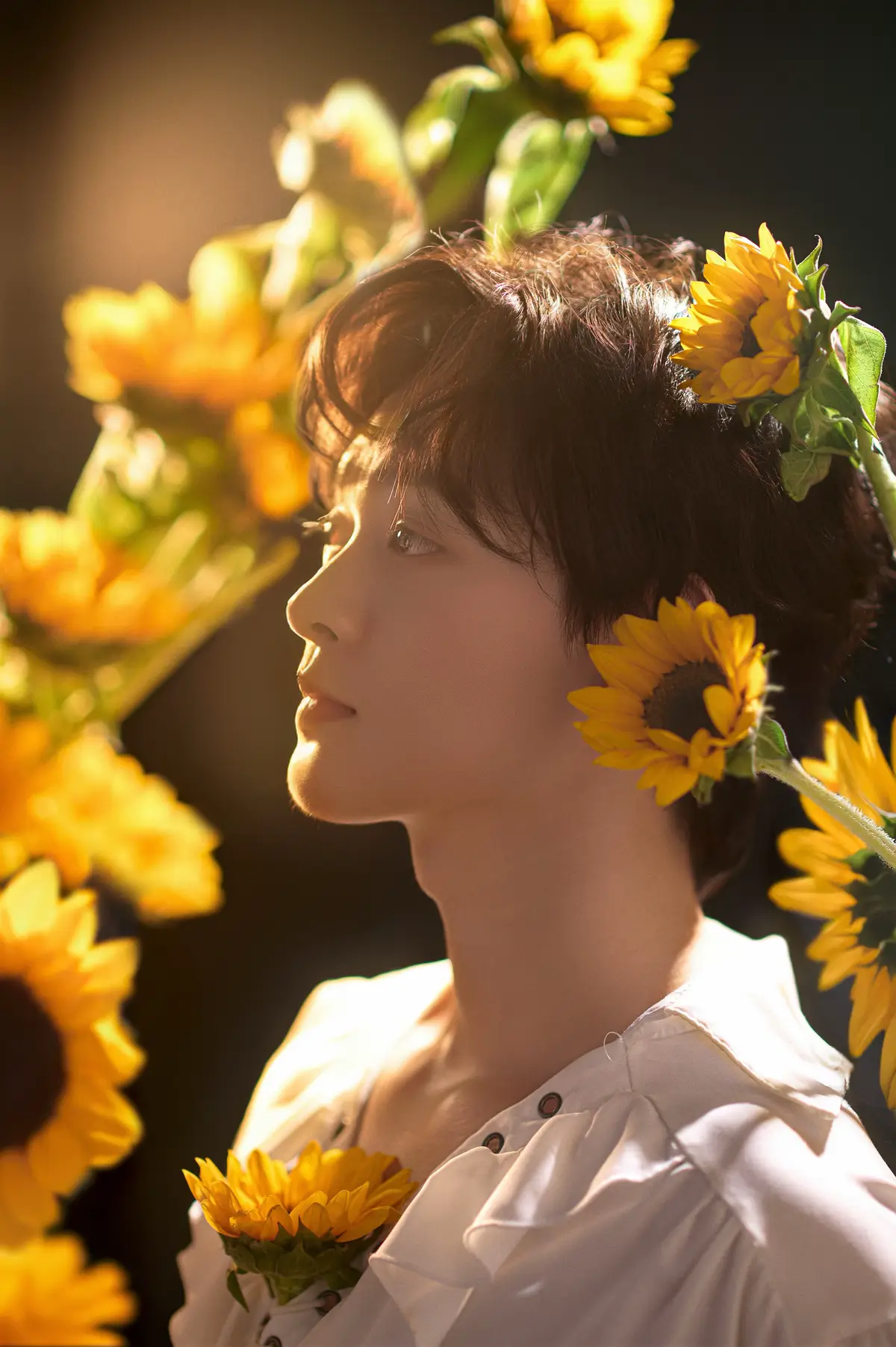 I don’t chase the sun, I stand where it shines 🦔🌻 @Carl🦔  #aworld101 #newworld #shiningstar #newworldshiningstar 