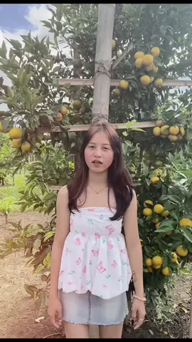 ဆွယ်မိုင်ခ🥺💞