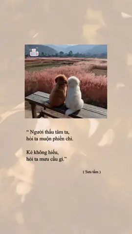 Người thấu tâm mình hỏi một câu cũng ấm. Người không hiểu mình, mỉm cười cũng thấy xa. 🍃 #xuhuong #radiochill #chualanh #binhyen #tamtrang 