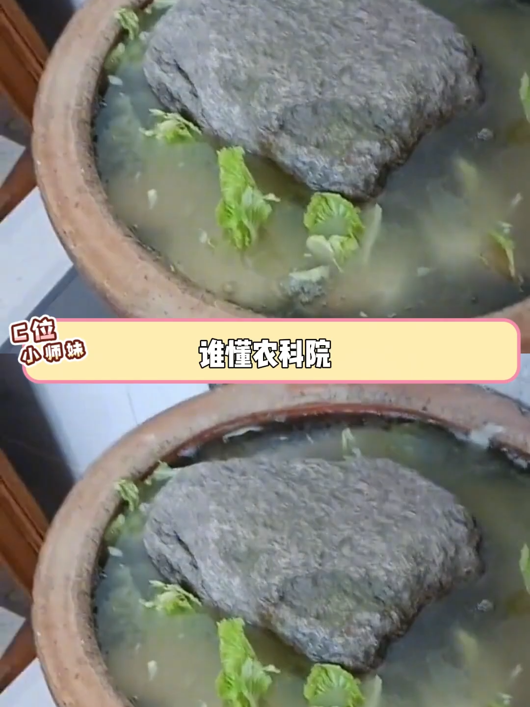 這以后哪是大姐啊 這是大師姐！ #腌酸菜 #農科院 #萬萬沒想到 #酸菜 #大學生