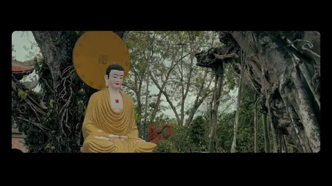 Tham, sân, si là gốc rễ của khổ đau 🙏 #hv2405 #xuhuong #fyp 