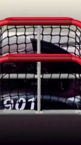 #ثقيف #901 #الطايف 