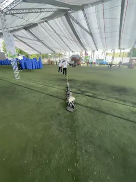 Đi Đại Hội Mang dép ❌                        Đi Đại Hội Mang Dây Đi Cột Dép ✅    Dép Của ai Vô Nhận Đi Ạ.                       #giaophanthaibinhxinchao #đaịhoigioitregiaotinhmienbac 