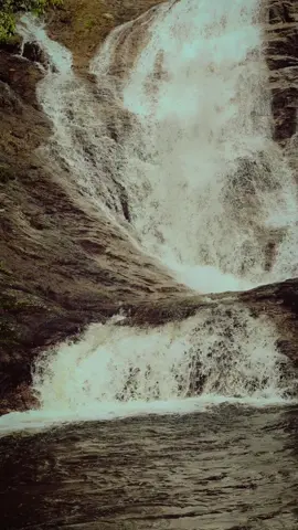 🥀💔 #cikgusashi #fyp #fypシ゚ #tamilsong #tamilbgm 