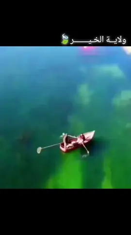 ولاية الخير 