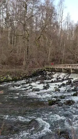 لا تتصور نسيتك&&&&&سعدي الحلي#الشعب_الصيني_ماله_حل😂😂 