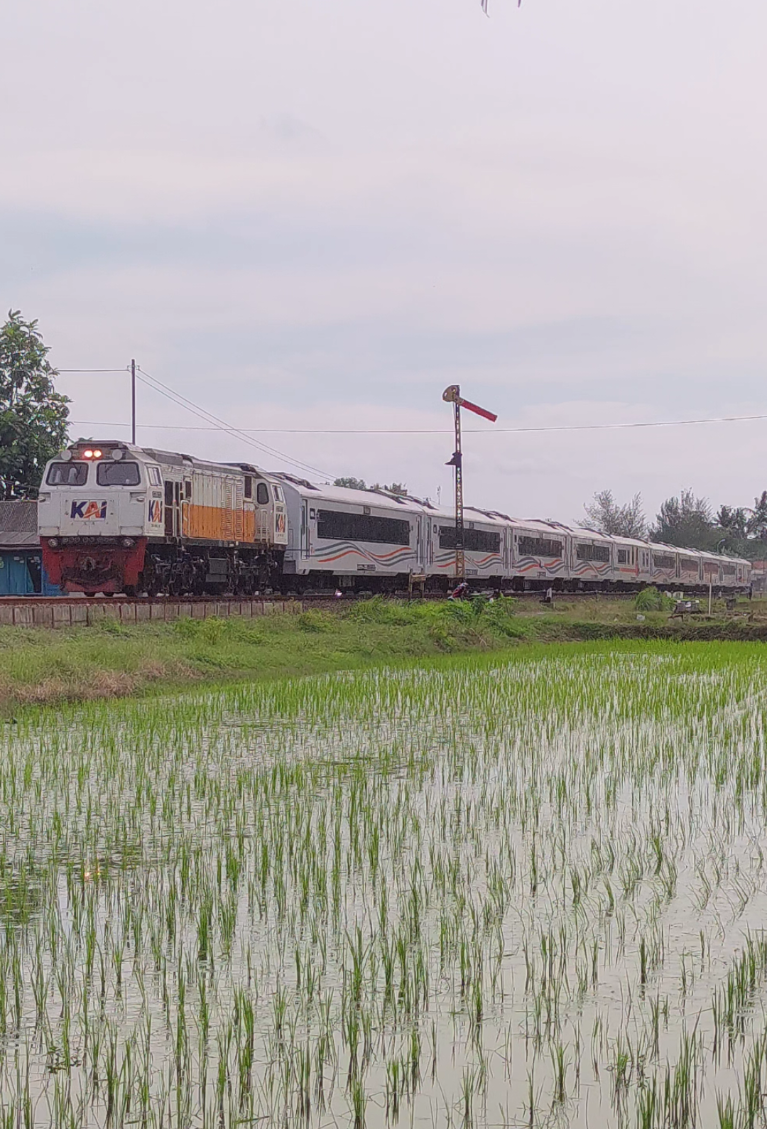 Satu-satunya kereta penghubung Kota Cilacap menuju ibukota  KA Purwojaya melintasi sinyal mekanik di timur Stasiun Karangkandri #daop5purwokerto #daop5 #keretaapikita #kai121 #kapurwojaya 