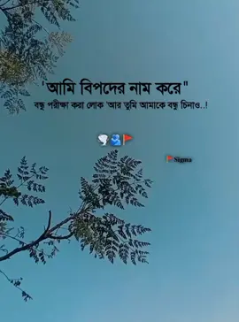 #foryou #foryoupage #vairalvideo #unfrezzmyaccount 