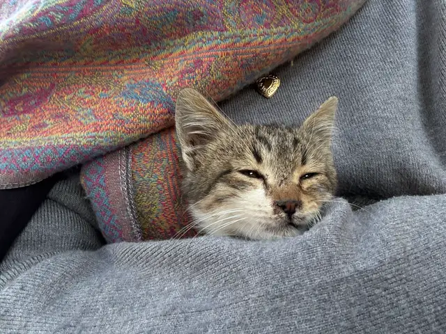 بخاف عليك و بخاف تنساني