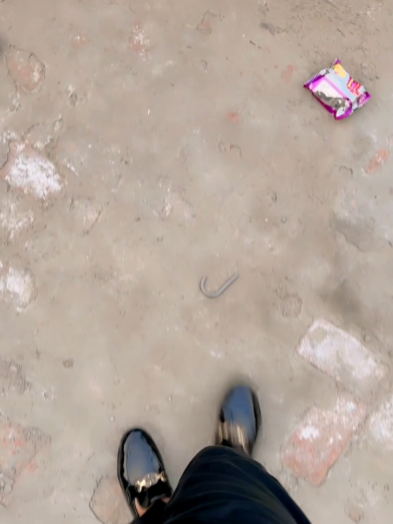 kisi ne dekha to nai😍#fyp #1millionaudition #virel #hellotiktok #standwithkashmir 