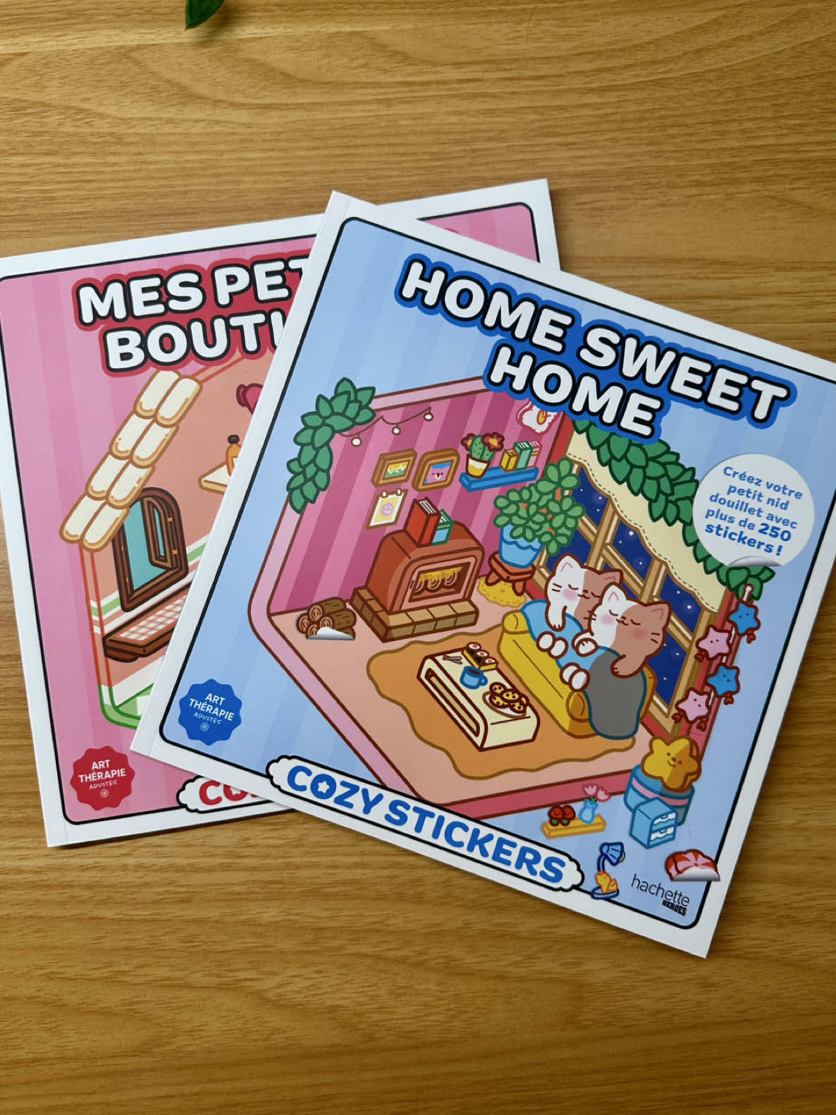 🌸 Nouveautés chez @Hachette Heroes  🩵 Home Sweet Home Cozy Stickers 🩷 Mes Petites Boutiques Cozy Stickers ✨ Vous pouvez les commander sur Amazon le lien est dans la bio  #coloriagemysteredisney #cozy #stickers #disney #cozystickers 
