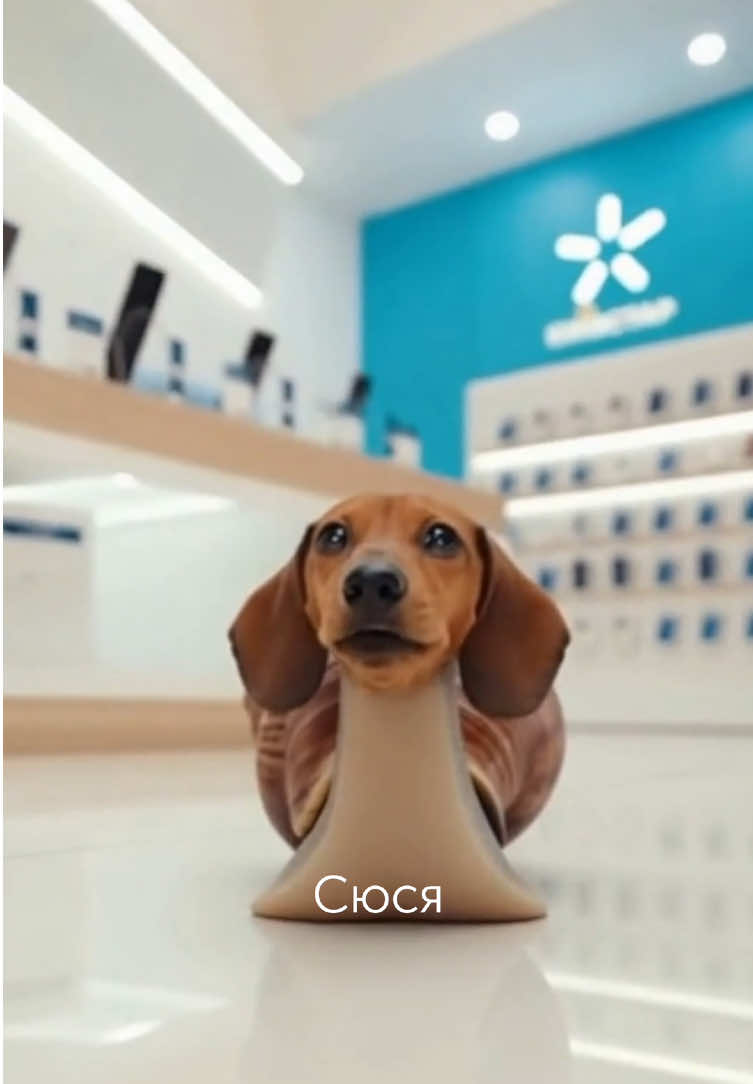 Сюся переходить на обнімальний тариф від Київстару💙 #київстар #інтернет 