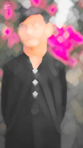 #creatorsearchinsights #tiktok #viral #instagram #Love 