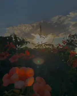 #foryou #foryouoage #molanaibadullah #viral #islamicvideo 