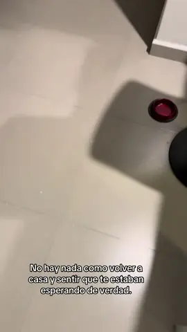 El sonido que me imagino cuando me ve llegar 🥰 #Love #shiba 