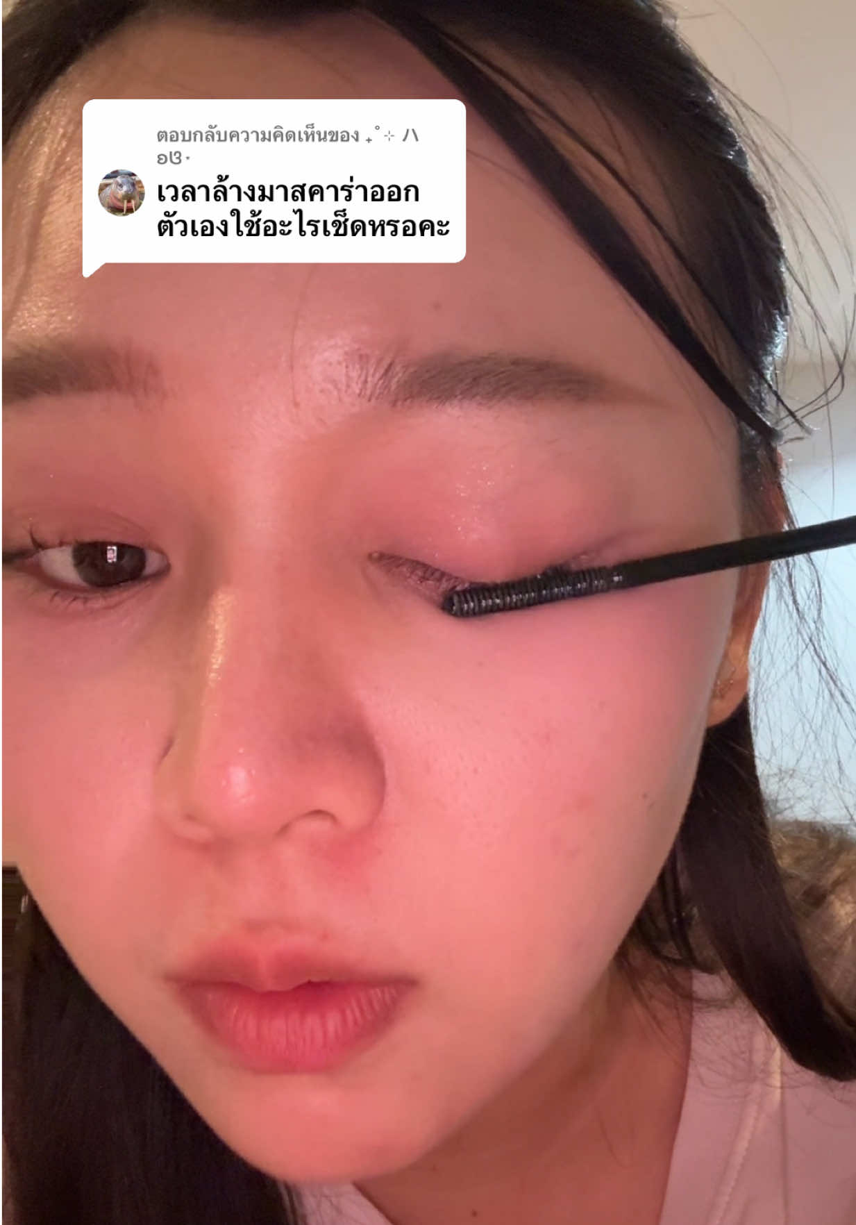 ตอบกลับ @₊˚⊹ ハʚଓ⋆ อันนี้ดีพึ่งลองเหมือนกันเริ่ดนะ #ฟีดดดシ #รีวิวของดีบอกต่อ #ที่ล้างมาสคาร่า #bnb 