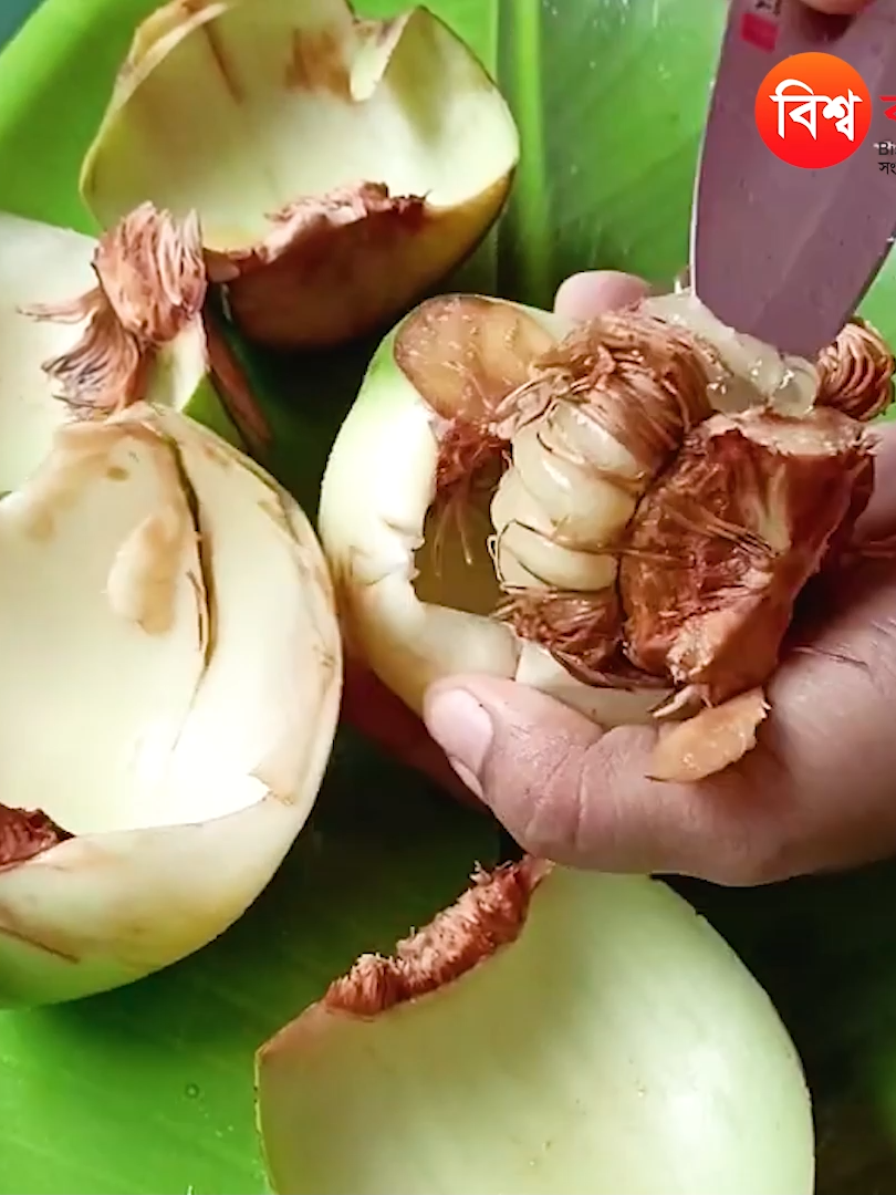 পঁ‘চা কি/ডনিও ভালো হবে শুধু চালতা দিয়ে! ইউরিন সমস্যা, ঠাণ্ডা জ্ব‘র, আমাশয় ও পুরুষের গো/পন রো/গের মহাঔ/ষধ