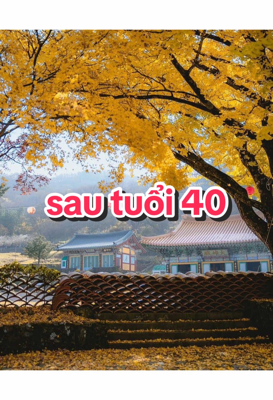 #songchamannhien  #trietlycuocsong  #baihoccuocsong  #xuhuong  #vairal 