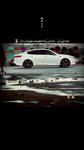 الطيبات عنوانه#viral #wolf #👌🏿⏳⏳👍🏾 