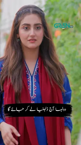 Dilwale Dulhania Le Jayenge #GreenTV #MainZameenTuAasmaan #FerozeKhan #HibaBukhari #reelviral #whattowatch