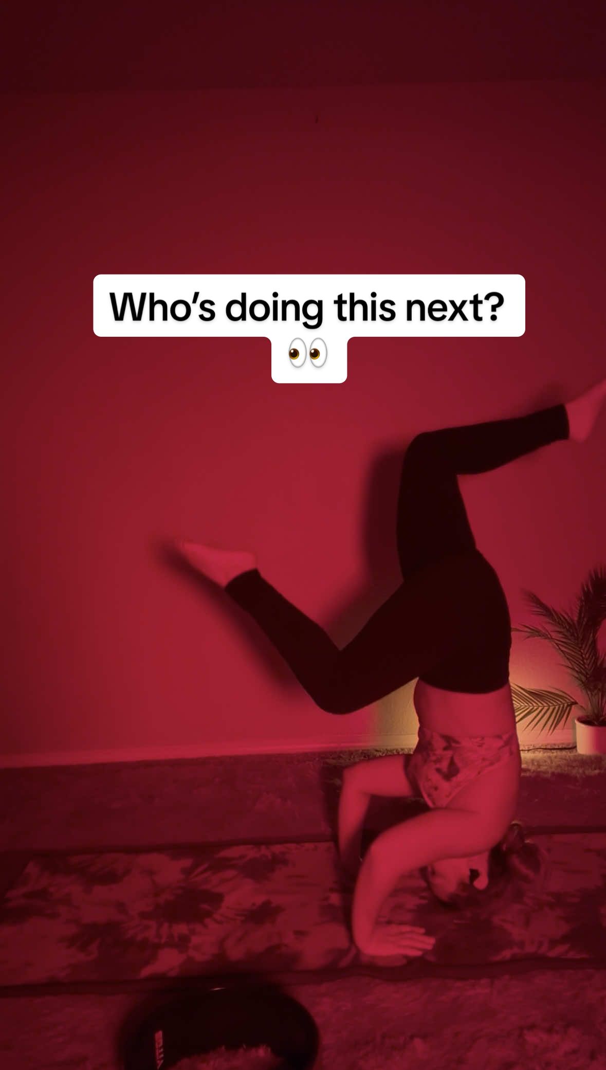 If a handstand is your goal, start where your body feels safe. Build your core, master your alignment, use the wall, then play with the yoga wheel. Your body has memory—it learns every rep, every wobble, every try. One day you’ll kick up and realize… you don’t need anything at all. 🤸‍♀️✨ Trust the process. #fyp 