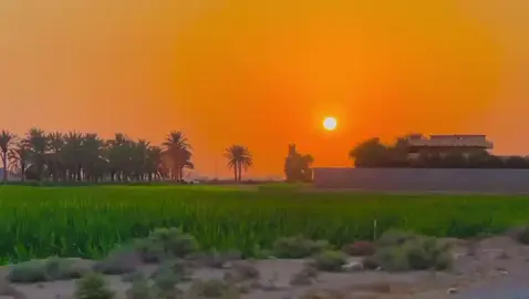 #اللهم_صلي_على_نبينا_محمد #متابعة_لايك_تعليق_مشاركة_فولو #كركوك_الحويجه_تيم_الجبور 