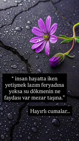 ##keşfettte #keşfettteyiz #fypシ゚viral🖤video #fypシ゚ #ilahi 