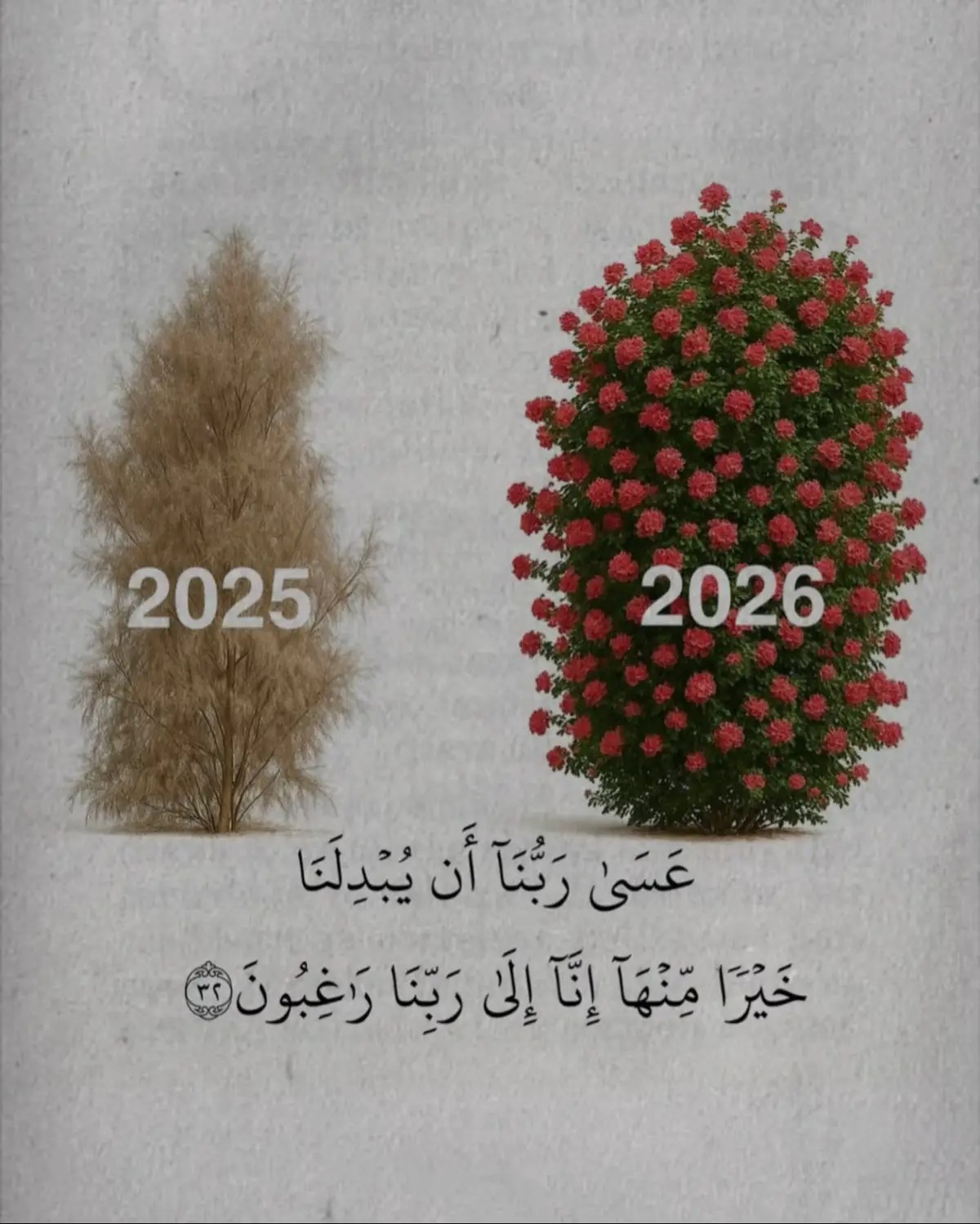 اللهم أجعل أيامنا القادمة أجمل من كل ما مضى وارزقنا سعادة لا تنقطع ، وراحة بال لا تزول🤲