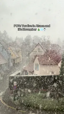 #alsace #alsace🥨 #strasbourgfrance🇫🇷 #snow 