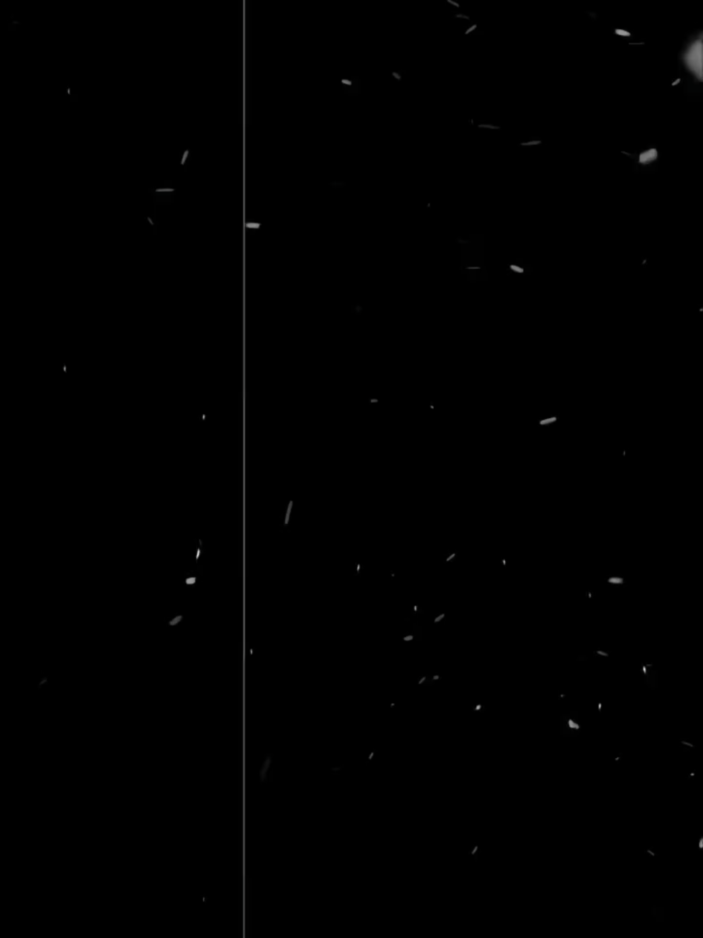 finally yujae melek🥀🙂 #yujae #lookism #manhwareccomendation #webtoon #manhwa #spoiler