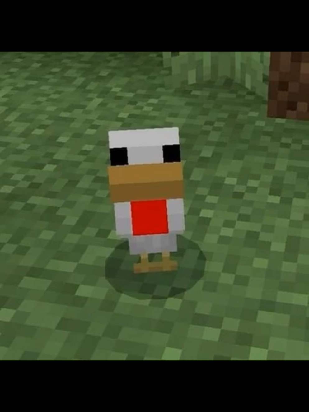 Sapardo ya aparece hasta en videojuegos 🤣🐸 #parati #fyp #sapardo #Minecraft #borja 