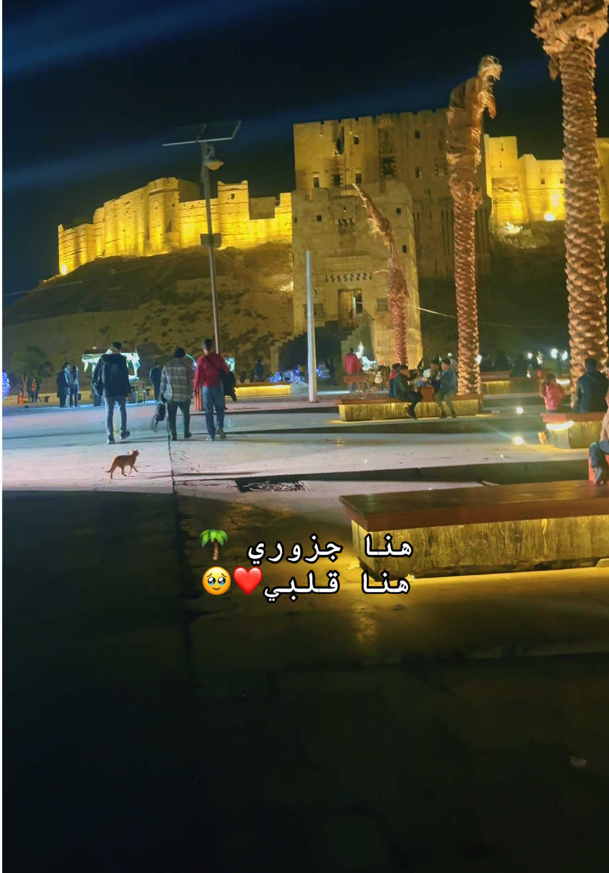 #هنا #حلب #هنا #قلبي #🥺 