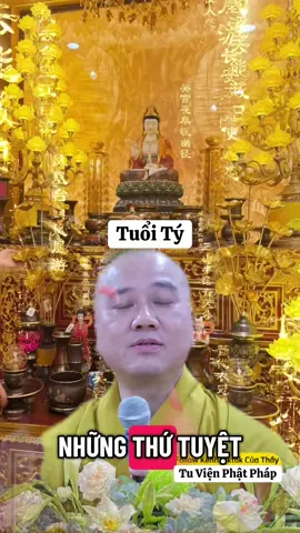 Tuổi Tý #tuvienphatphap #xuhuongtiktok #phongthuytamlinh #thichphaphoa #tuoity 