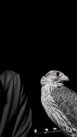 #اكسبلور #قصايد #لايك_كومنت #ابيات_شعر #حركة_إكسبلور 