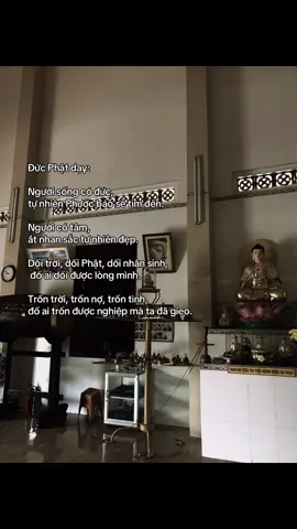 #phatphapnhiemmau #nammoadidaphat #chuakhanhlamdatset #nammobonsuthichcamauniphat 