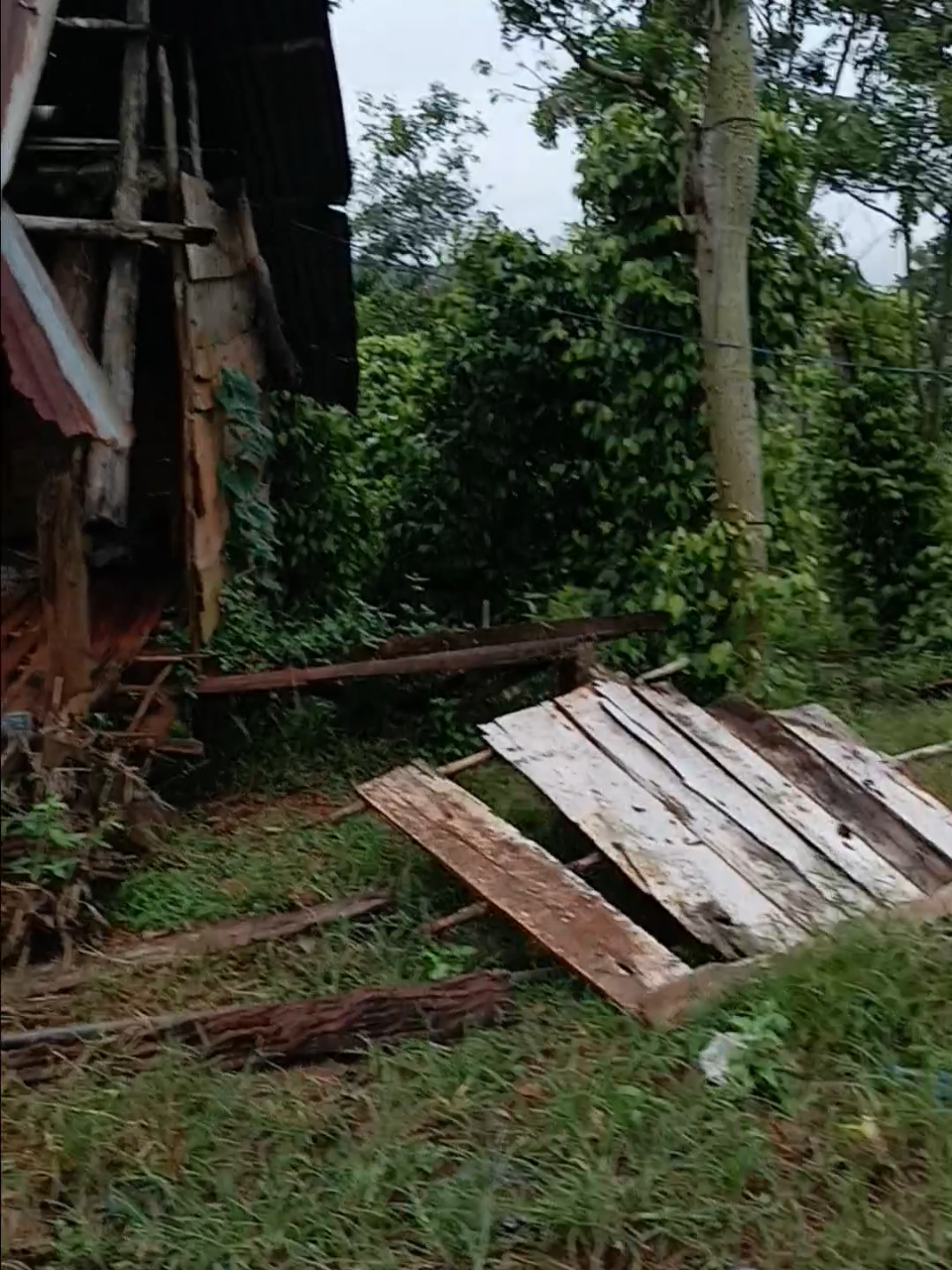 #CapCut khổ quá m.n ạ