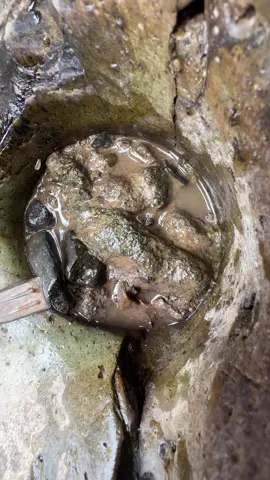 Super gold mining #fyp 