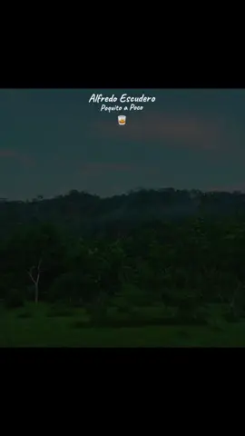 Aplomen Muchachos Nuevos🌳🥃  #campecinos🤠🌱  #tipicopanameño  #delcamposoy🙌🌾🌱  #alfredoescuedero🎶  #tipicopanameño🇵🇦paratii 