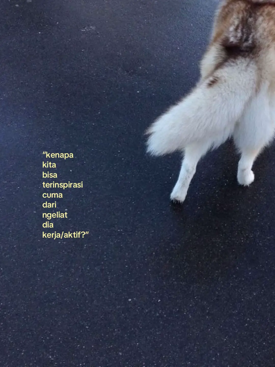 i love cowo produktif.