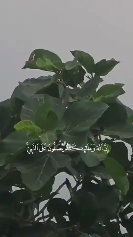 #الجمعة 