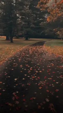 #CapCut #اللهم_صلي_على_نبينا_محمد #اللهم_صل_وسلم_على_نبينا_محمد #ليله_الجمعه 