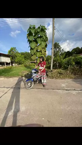 😛#ฟีดดดシ #เวฟคอนกรีต #ไม่แรงก็เท่ละวา😘 