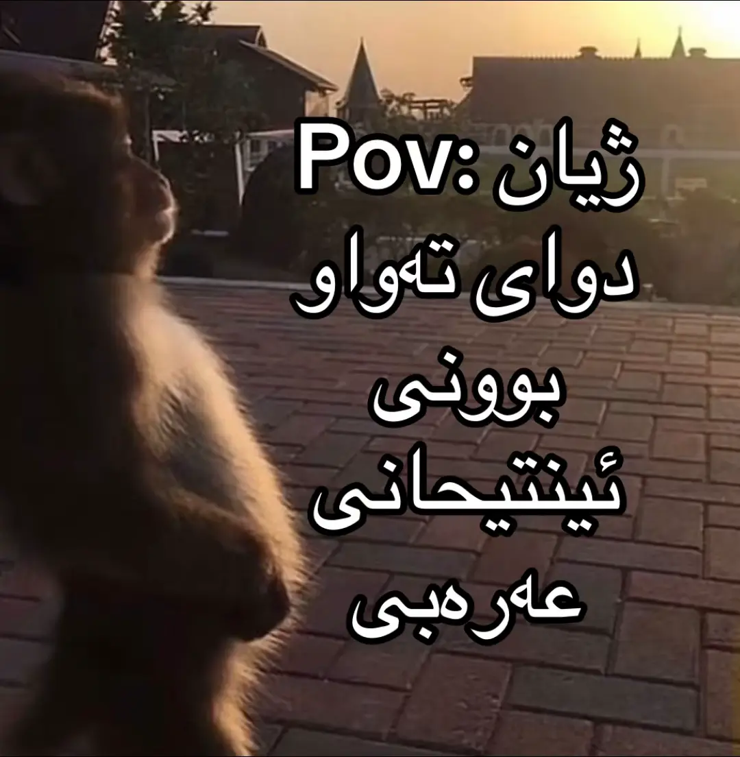 #relatablecontent #kurdistan #fyp #school #arabic 